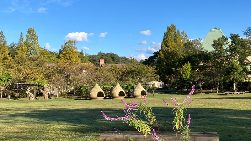 丹後王国「食のみやこ」法人向けウェルビーイングプランイメージ2