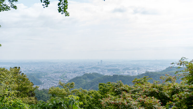 霊気満山　高尾山ウェルネスハイクの写真1