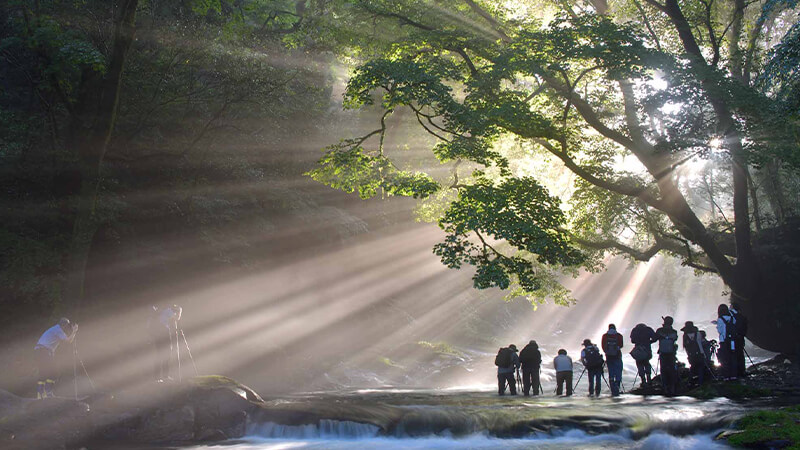 阿蘇くじゅう国立公園　菊池渓谷散策ツアーの写真